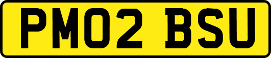 PM02BSU