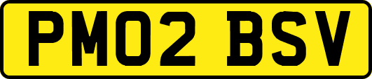 PM02BSV