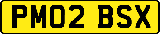 PM02BSX