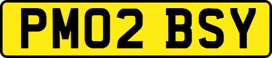 PM02BSY