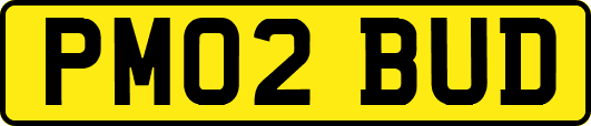 PM02BUD
