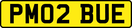 PM02BUE