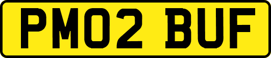 PM02BUF