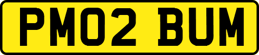 PM02BUM