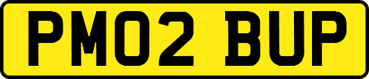 PM02BUP