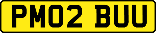 PM02BUU