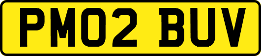 PM02BUV