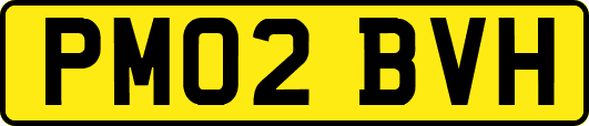 PM02BVH