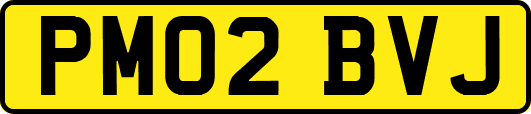 PM02BVJ