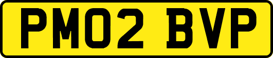 PM02BVP