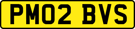 PM02BVS
