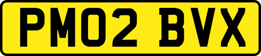 PM02BVX