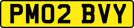 PM02BVY