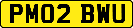 PM02BWU