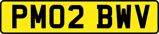 PM02BWV