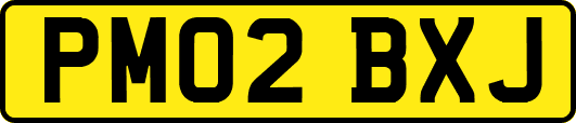 PM02BXJ