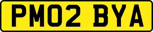 PM02BYA