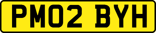 PM02BYH
