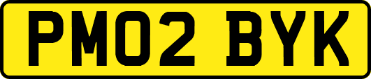 PM02BYK