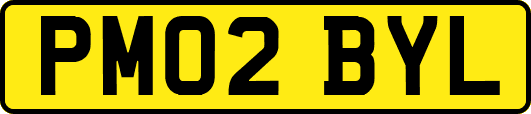 PM02BYL