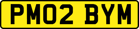 PM02BYM