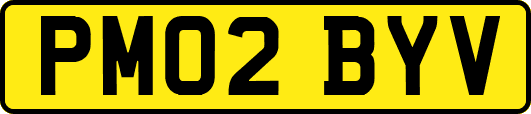 PM02BYV