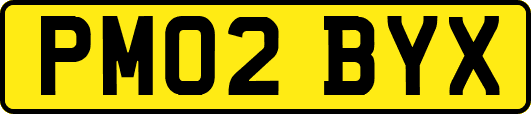 PM02BYX