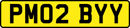 PM02BYY