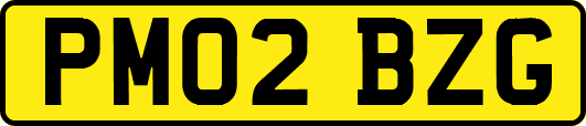 PM02BZG