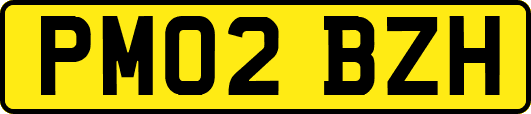 PM02BZH