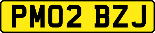 PM02BZJ
