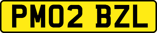 PM02BZL