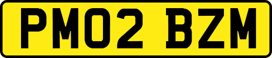 PM02BZM