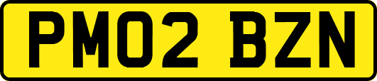PM02BZN