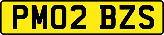PM02BZS
