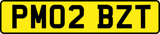 PM02BZT
