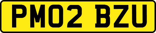 PM02BZU