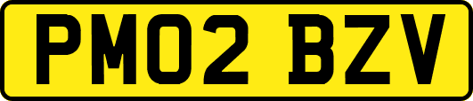 PM02BZV