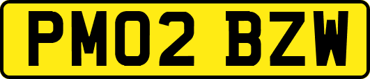 PM02BZW