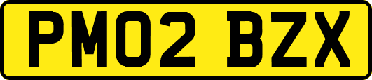 PM02BZX