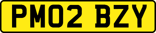 PM02BZY
