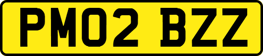 PM02BZZ