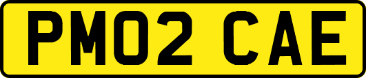 PM02CAE