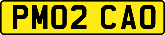 PM02CAO