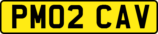 PM02CAV