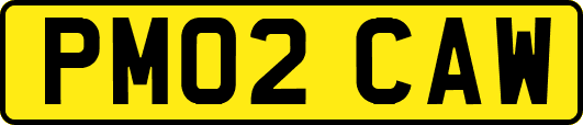 PM02CAW