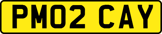 PM02CAY