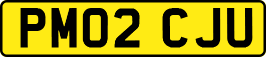 PM02CJU