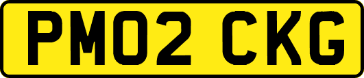 PM02CKG