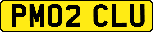 PM02CLU